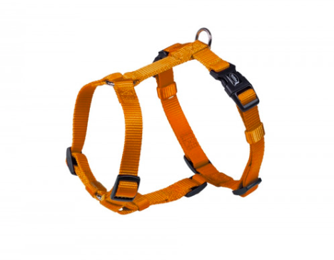 Geschirr Nylon Gr.XS/S - Basicgeschirr
