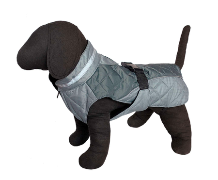 Hundemantel grau an Hundemodel
