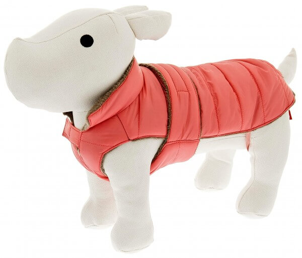 Hundejacke rosa an Hundemodel