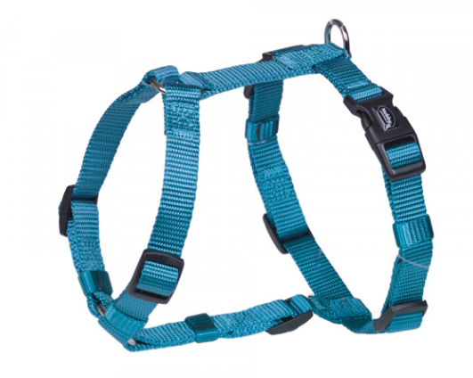 Geschirr Nylon Gr.XS/S - Basicgeschirr